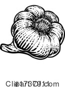 Garlic Clipart #1737911 by AtStockIllustration