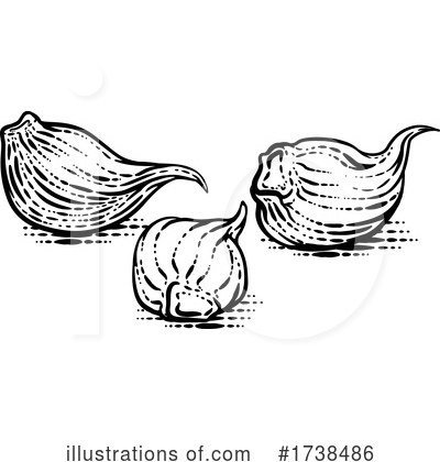 Royalty-Free (RF) Garlic Clipart Illustration by AtStockIllustration - Stock Sample #1738486