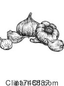 Garlic Clipart #1748887 by AtStockIllustration