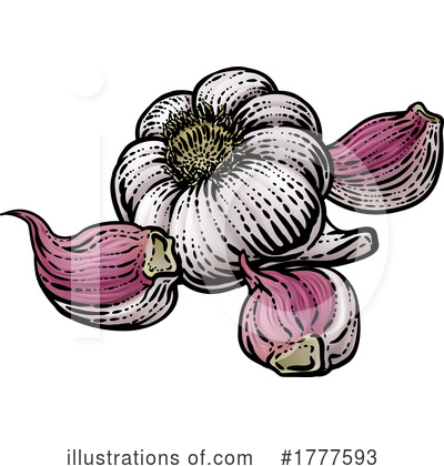 Garlic Clipart #1777593 by AtStockIllustration