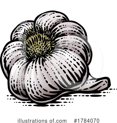 Garlic Clipart #1784070 by AtStockIllustration