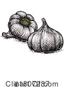 Garlic Clipart #1807287 by AtStockIllustration