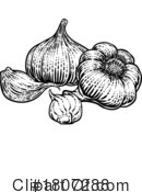 Garlic Clipart #1807288 by AtStockIllustration