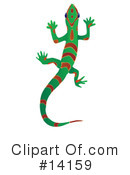 Gecko Clipart #14159 by Rasmussen Images