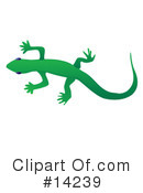 Gecko Clipart #14239 by Rasmussen Images