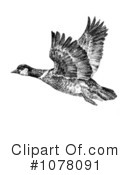 Geese Clipart #1078091 by JVPD