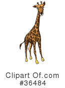 Giraffe Clipart #36484 by dero