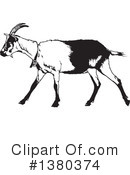 Goat Clipart #1380374 by dero