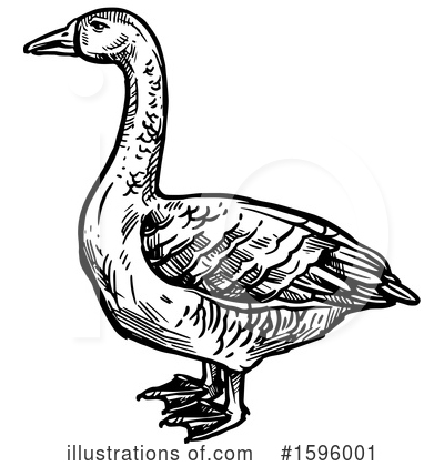 Goose Clipart #1596001 by Vector Tradition SM