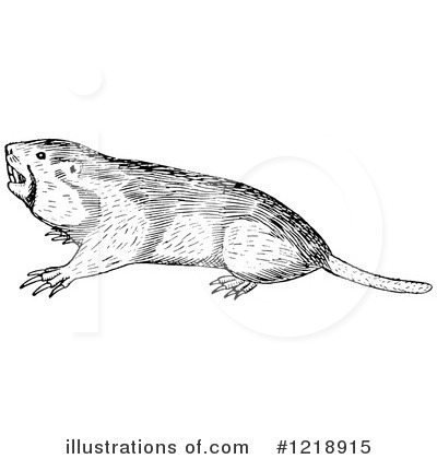 Gopher Clipart #1218915 by Picsburg