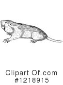 Gopher Clipart #1218915 by Picsburg