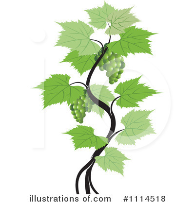 Grapevine Clipart #1114518 by Lal Perera
