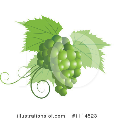 Grape Vine Clipart #1114523 by Lal Perera