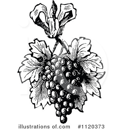Royalty-Free (RF) Grapes Clipart Illustration by Prawny Vintage - Stock Sample #1120373