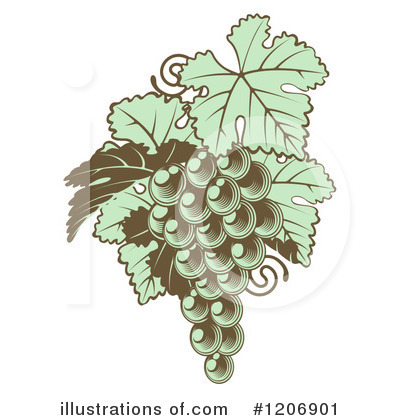 Grape Vine Clipart #1206901 by AtStockIllustration