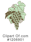Grapes Clipart #1206901 by AtStockIllustration
