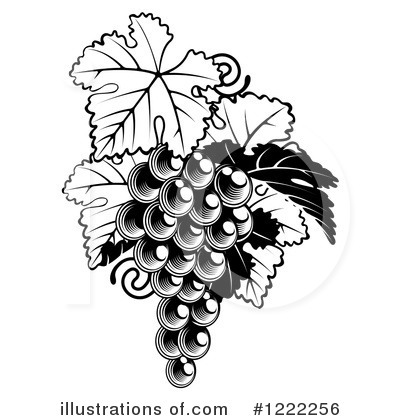 Royalty-Free (RF) Grapes Clipart Illustration by AtStockIllustration - Stock Sample #1222256