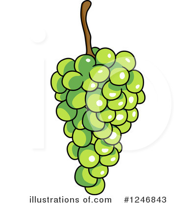 Royalty-Free (RF) Grapes Clipart Illustration by Vector Tradition SM - Stock Sample #1246843
