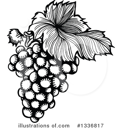 Royalty-Free (RF) Grapes Clipart Illustration by Prawny - Stock Sample #1336817
