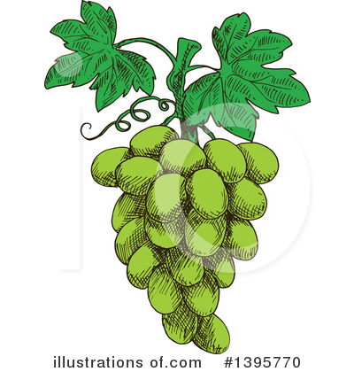 Grapes Clipart #1395770 by Vector Tradition SM