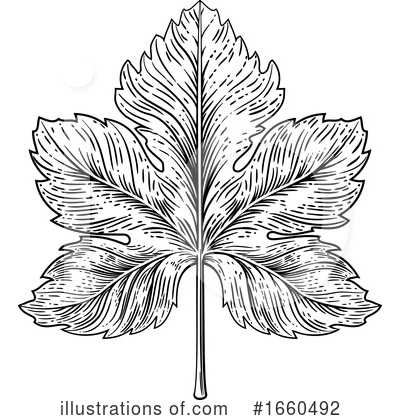 Grapevine Clipart #1660492 by AtStockIllustration