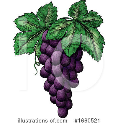 Grapes Clipart #1660521 by AtStockIllustration