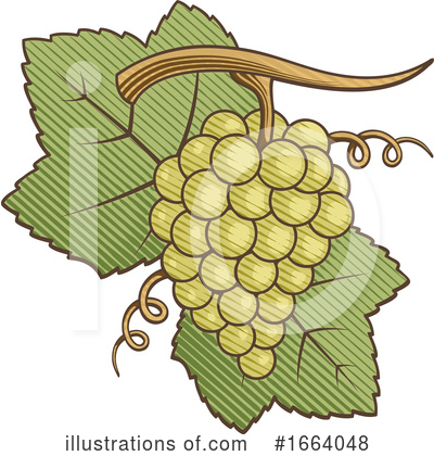 Royalty-Free (RF) Grapes Clipart Illustration by Any Vector - Stock Sample #1664048