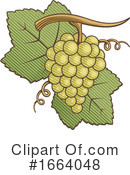 Grapes Clipart #1664048 by Any Vector