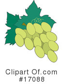 Grapes Clipart #17088 by Maria Bell