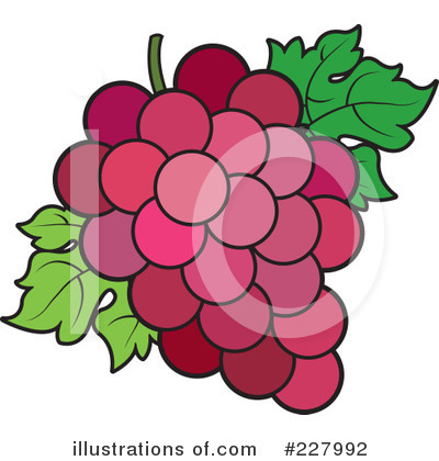 Grape Clipart #227992 by Lal Perera