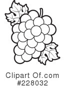 Grapes Clipart #228032 by Lal Perera