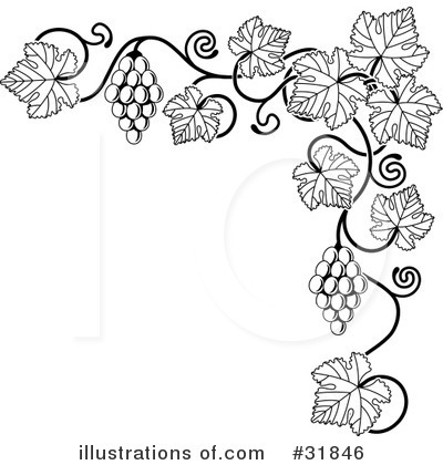 Grape Vine Clipart #31846 by AtStockIllustration