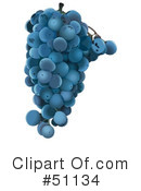 Grapes Clipart #51134 by dero