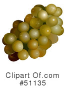 Grapes Clipart #51135 by dero