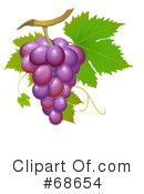 Grapes Clipart #68654 by Oligo