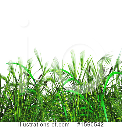 Wheat Clipart #1560542 by KJ Pargeter
