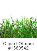 Grass Clipart #1560542 by KJ Pargeter