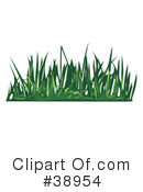 Grass Clipart #38954 by Tonis Pan
