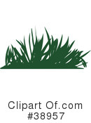 Grass Clipart #38957 by Tonis Pan
