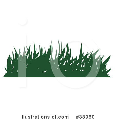 Plants Clipart #38960 by Tonis Pan