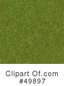 Grass Clipart #49897 by Arena Creative