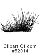 Grass Clipart #52014 by dero