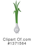 Green Onion Clipart #1371564 by Vector Tradition SM