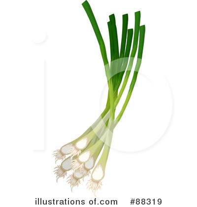 Onions Clipart #88319 by Tonis Pan