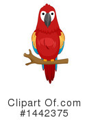 Green Parrot Clipart #1442375 by BNP Design Studio