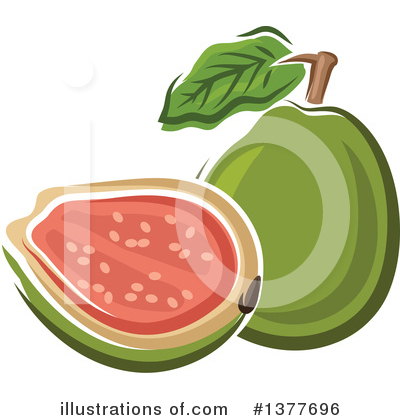 Guava Clipart #1377696 by Vector Tradition SM