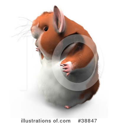 Royalty-Free (RF) Hamster Clipart Illustration by Leo Blanchette - Stock Sample #38847