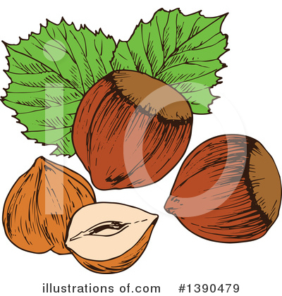 Royalty-Free (RF) Hazelnut Clipart Illustration by Vector Tradition SM - Stock Sample #1390479