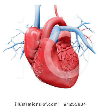 Human Heart Clipart #1253834 by Mopic