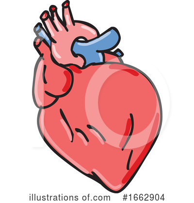 Human Heart Clipart #1662904 by patrimonio